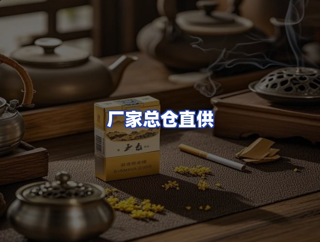 专业团队